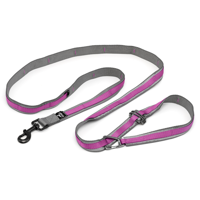 Kurgo® Dog Leash Quantum 6-in-1 Violet