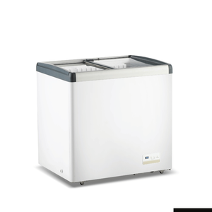 Thermaster 256l Chest Freezer With Flat Glass Sliding Lids Wd256g