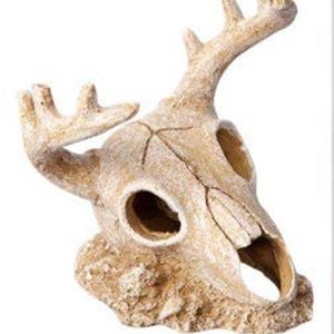 Aqua One Deer Skull Ornament 14.5x13.5x15.5cm (37488)