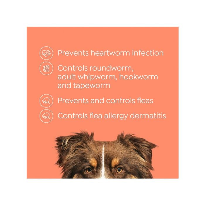 Purina heartworm allwormer best sale