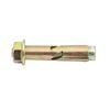 Ramset 10 x 50mm DynaBolt Plus Hex Nut Bolt