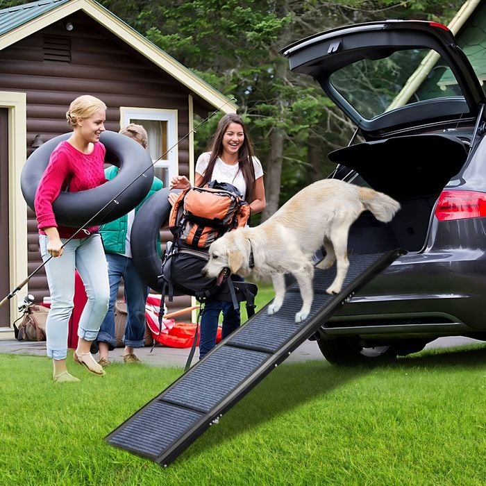 Pawz 180CM Extra Long Foldable Dog Ramps Bunnings Australia