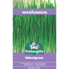 Fothergill's Wheatgrass