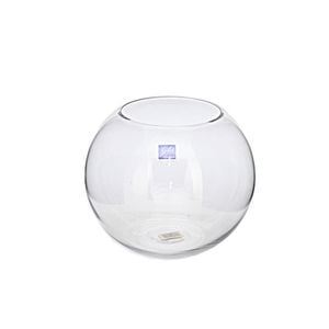 Glass Fish Bowl Clear D20cm