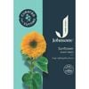 Johnsons Curated For Cutting Sunflower Giant Teddy