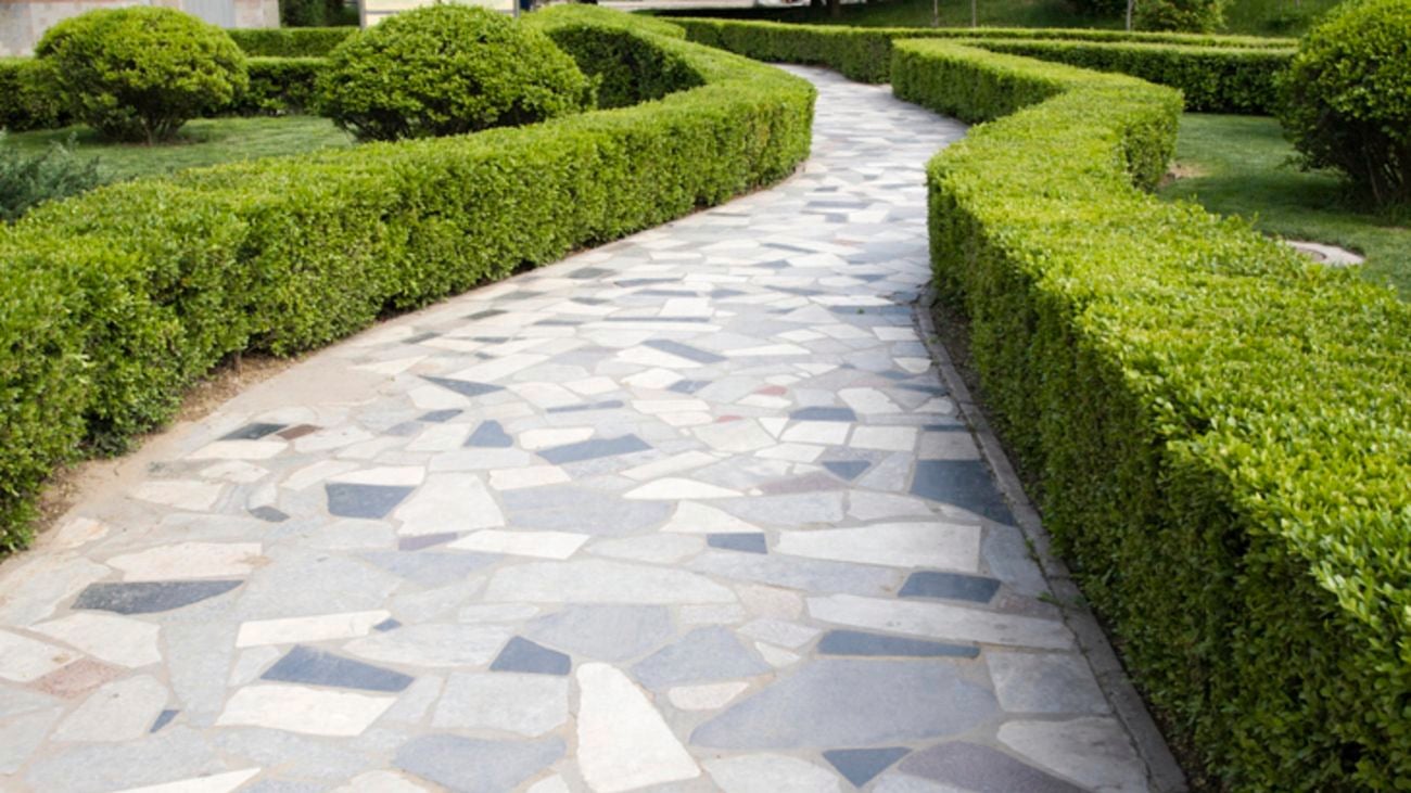 A paved garden path surrounded by hedges.