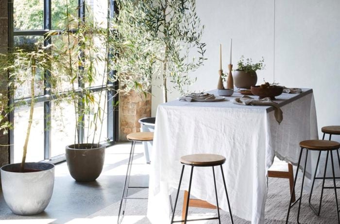 Dining room with table, bar stools and indoor plants