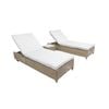 AMANI 3PC SUNLOUNGE SET - Driftwood