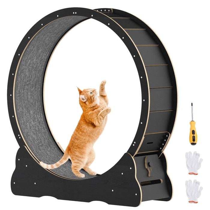 Advwin 100cm Cat Exercise Wheel Wooden Cat Treadmill Running Wheel