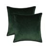 Catzon 2 Pcs Decorative Velvet Throw Pillow Covers Soild for Home Car 50X50cm-Dark Green