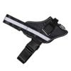 Happy Tails XXL Express Dog Harness