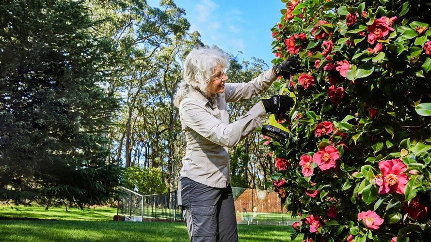 An elderly woman with white hair wearing a white shirt, using a pair of pruning secateurs to trim the branches of a tree.