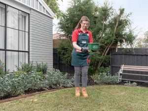 Bunnings person fertilising in lawn