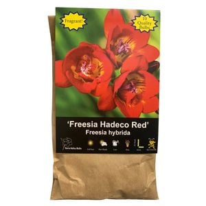 Yarra Valley Bulbs Freesia Red - 10 Pack