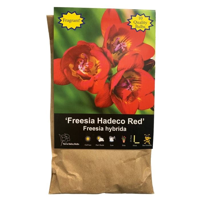 Yarra Valley Bulbs Freesia Red - 10 Pack