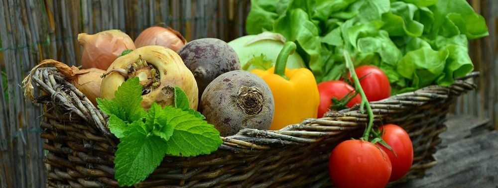 Picked vegetables in a wicker box