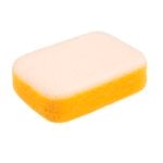 DTA Scrubbing Sponge