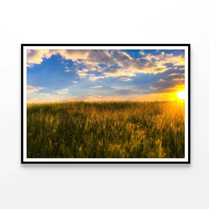 Grass with the Sun Setting  Print 100% Australian Made 120x90cm  (Poster)