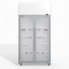 Skope  2 Glass Door Display Or Storage Fridge - Commercial Drink Fridges (tme1000n-a)