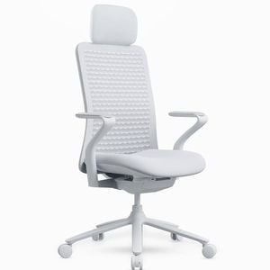 Desky Pro Ergonomic Mesh Chair - Soft White / Headrest