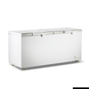 Thermaster 600l Chest Freezer With Stainless Steel Lid Bd600f