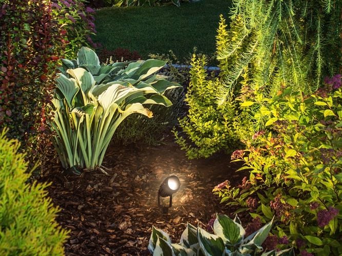 Led spotlight in the middle of the garden 