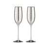 2PK Estelle 240ml Champagne Glass Drinkware - Silver
