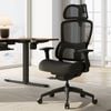 Eureka OC15 Lark Adjustable Lumbar Home/Office Chair - Black