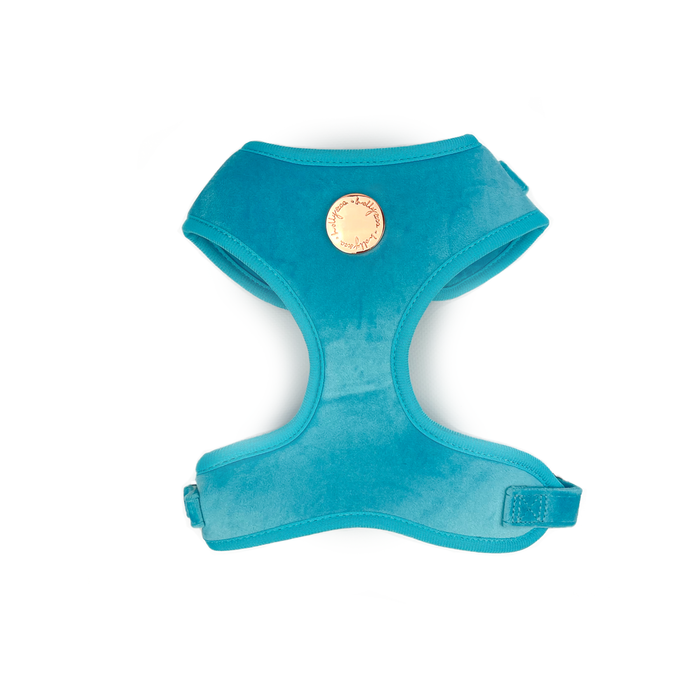 Holly & Co  Caribbean Blue Large Blue Stylish Velvet Dog Harness