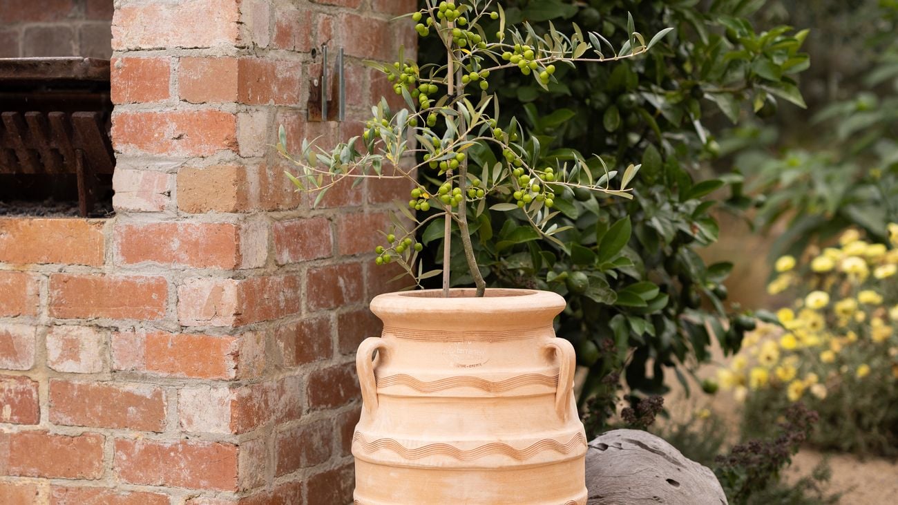 A terracotta pot sits next to a brick wall