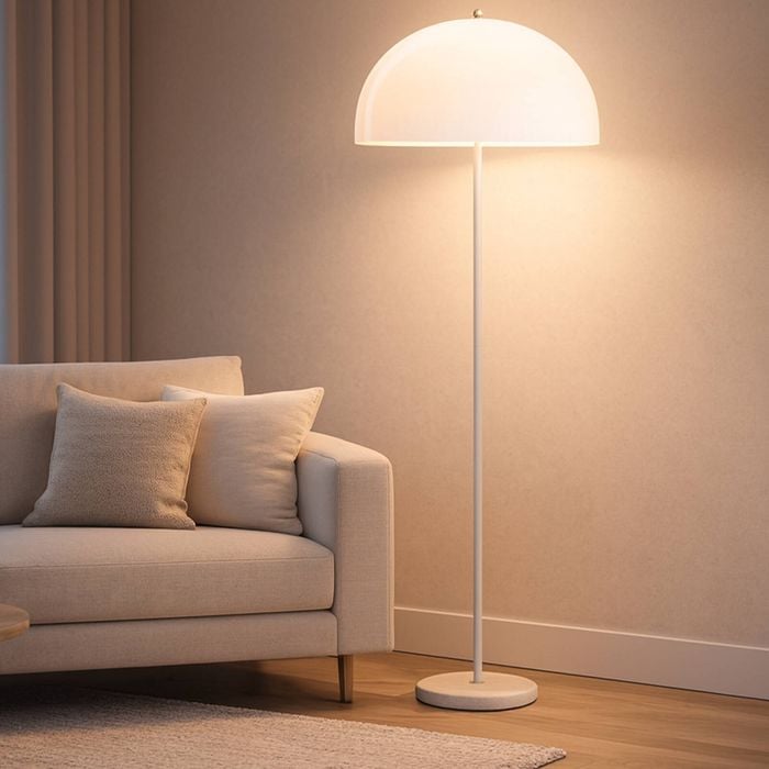 Astin Sinclair Dome Floor lamp