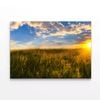 Grass with the Sun Setting  Print 100% Australian Made 120 x 90cm  (Stretched)