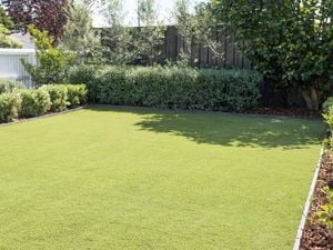 Neatly installed synthetic turf lawn is surrounded by well-maintained garden beds and greener