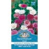 Mr Fothergill's Xeranthemum Mixed Seeds