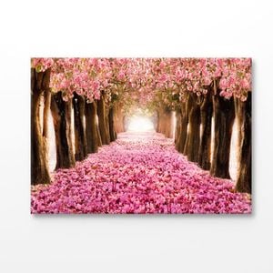 Pink Blossom Trees With Sun Light Print 100% Australian Made 180x120cm (Stretched Canvas)