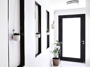 A modern hallway with white wall and indoor plants.