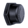 Philmac 1" BSP Thread Pipe Cap