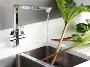 Kitchen sink with water running from mixer tap onto stalks of rhubarb