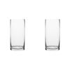 2PK Ecology Fleur Cylinder Glass Vase Decorative Flower Vessel 25cm
