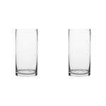 2PK Ecology Fleur Cylinder Glass Vase Decorative Flower Vessel 25cm