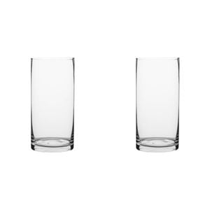 2PK Ecology Fleur Cylinder Glass Vase Decorative Flower Vessel 25cm