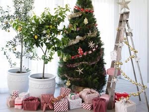 A decorated Christmas tree, presents and trees and a ladder decorated with Christmas decorations.