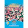 Mr Fothergill's Everlastings Flower Seeds