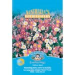 Mr Fothergill's Everlastings Flower Seeds