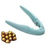 Catzon Stainless Steel Peeler for Chestnuts & Dried Fruits-Blue