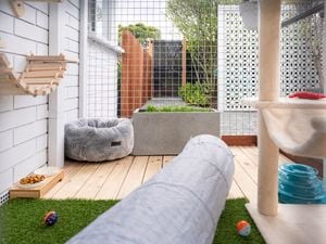 Crafting the ultimate cat run: Design, safety, and enrichment tips for a feline paradise