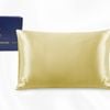 Luxor Crown Champagne One Piece 100% Pure Two-Side Silk Mulberry Pillowcase