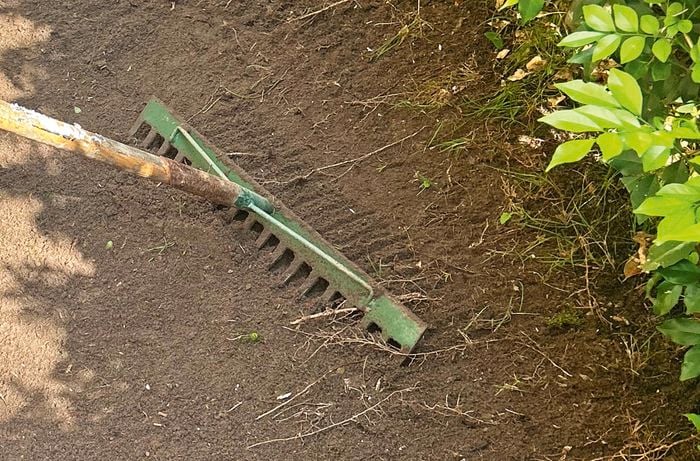 A rake being used to bring a soil area to level.