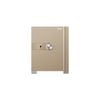 Philips SBX202-5C0 50KG Gold - Telescopic Handle Anti-Theft Smart Safe
