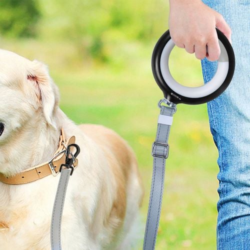 Dog leads bunnings best sale